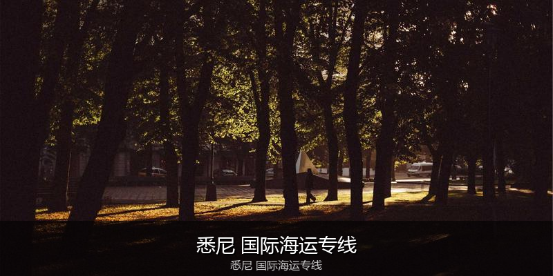 中国到澳洲海运专线服务优势与价格指南